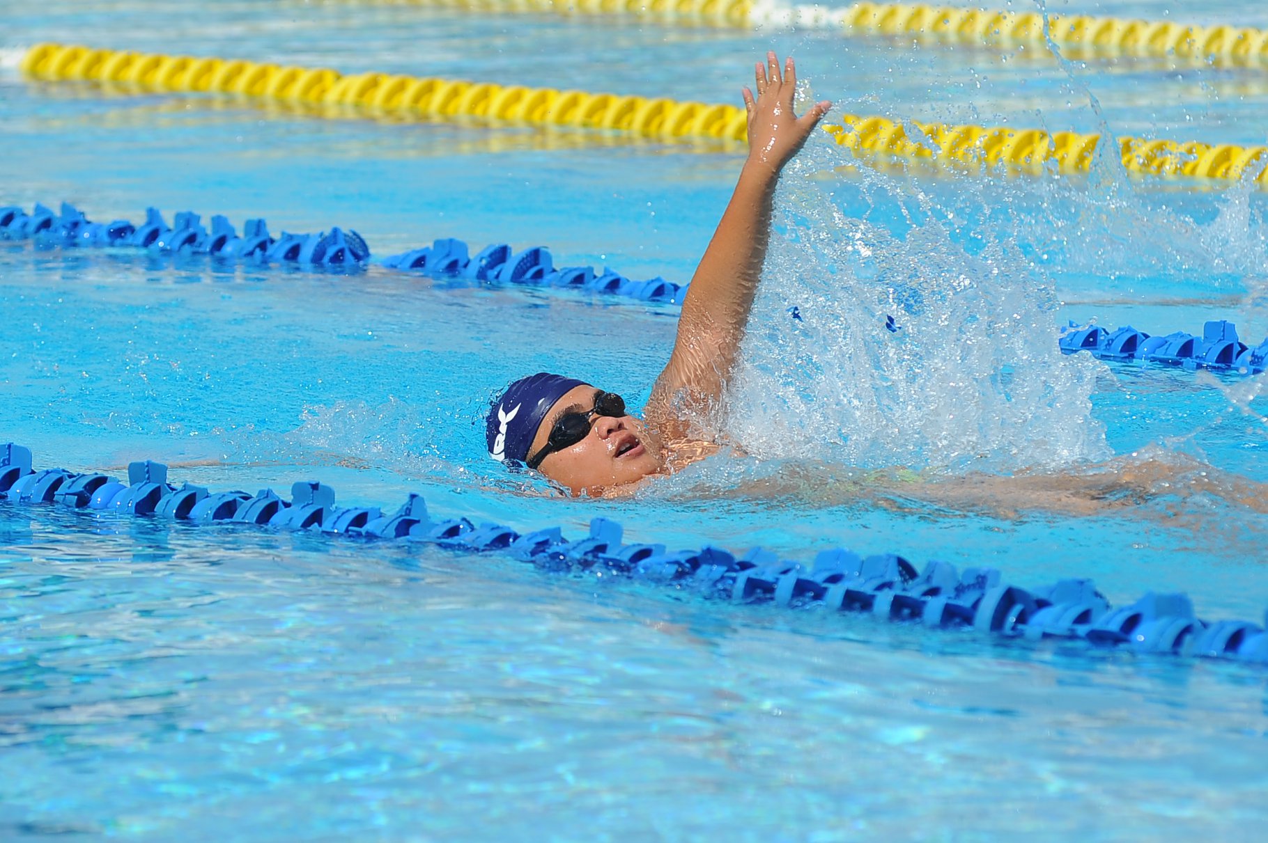 มฟล.จัดการแข่งขันว่ายน้ำ MFU Swimming Championship ครั้งที่ 4 จัดอันดับนักกีฬาเยาวชนภาคเหนือ