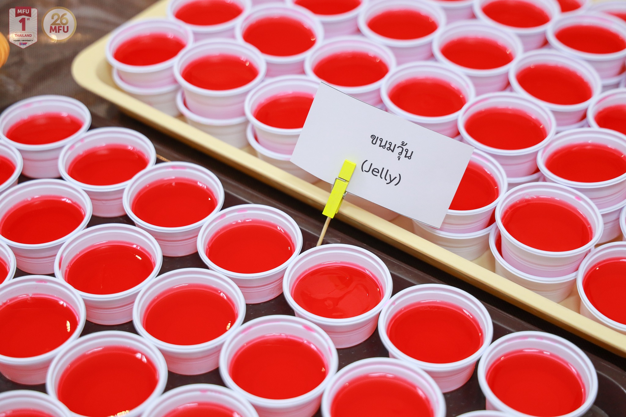 MFU News : 482216976_968685072058489_245335719129231574_n.jpg