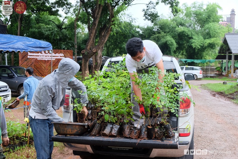 โครงการสวนพฤกษศาสตร์ มฟล. แจกกล้าไม้ยืนต้น 10,000 ต้น 14 ชนิด เนื่องในวันทานหาแม่ฟ้าหลวง ประจำปี 2564 